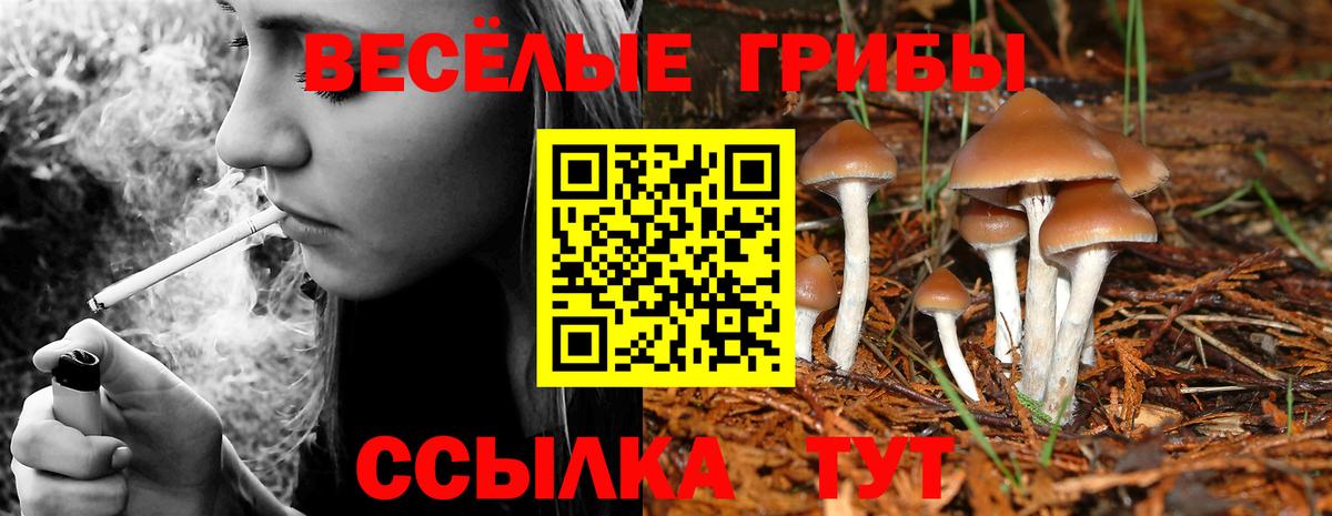 Зеленодольск  Псилоцибиновые грибы MAGIC MUSHROOMS  Вход с VPN 